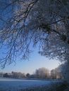 Herefordshire in Winter
